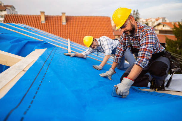 Best Storm Damage Roof Repair  in Colfax, IL